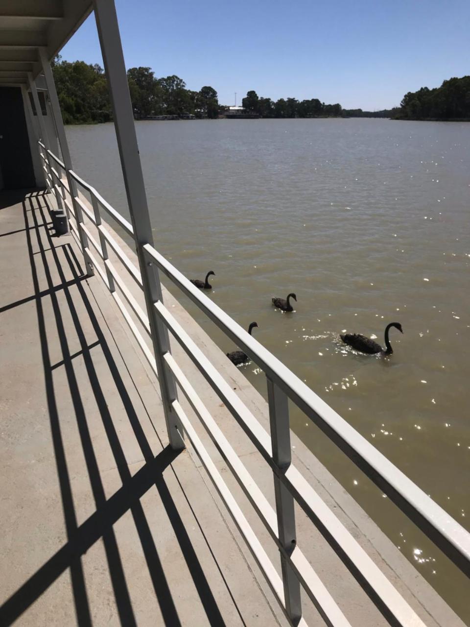 伦马克 Murray River Queen酒店 外观 照片